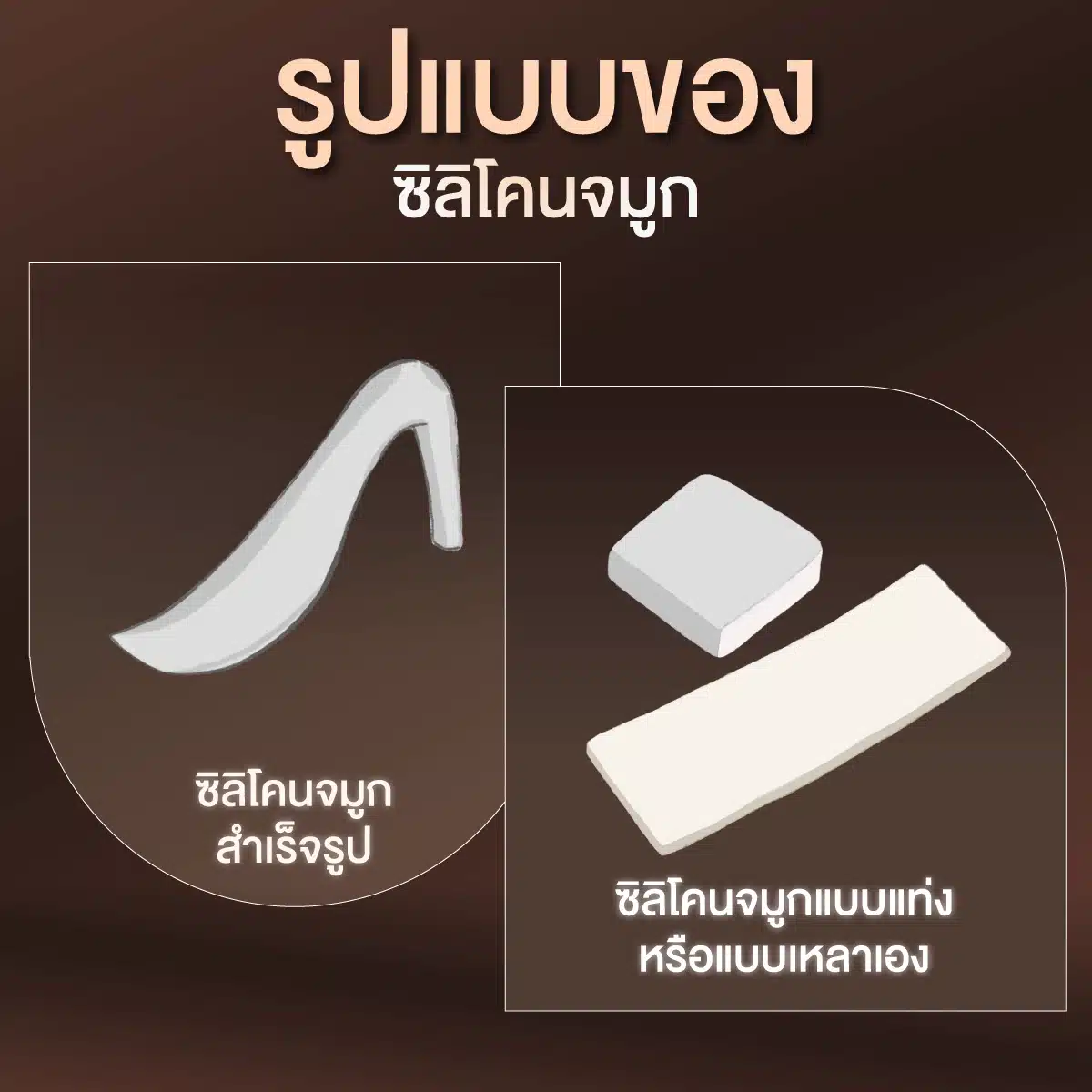 รูปแบบของซิลิโคนจมูก