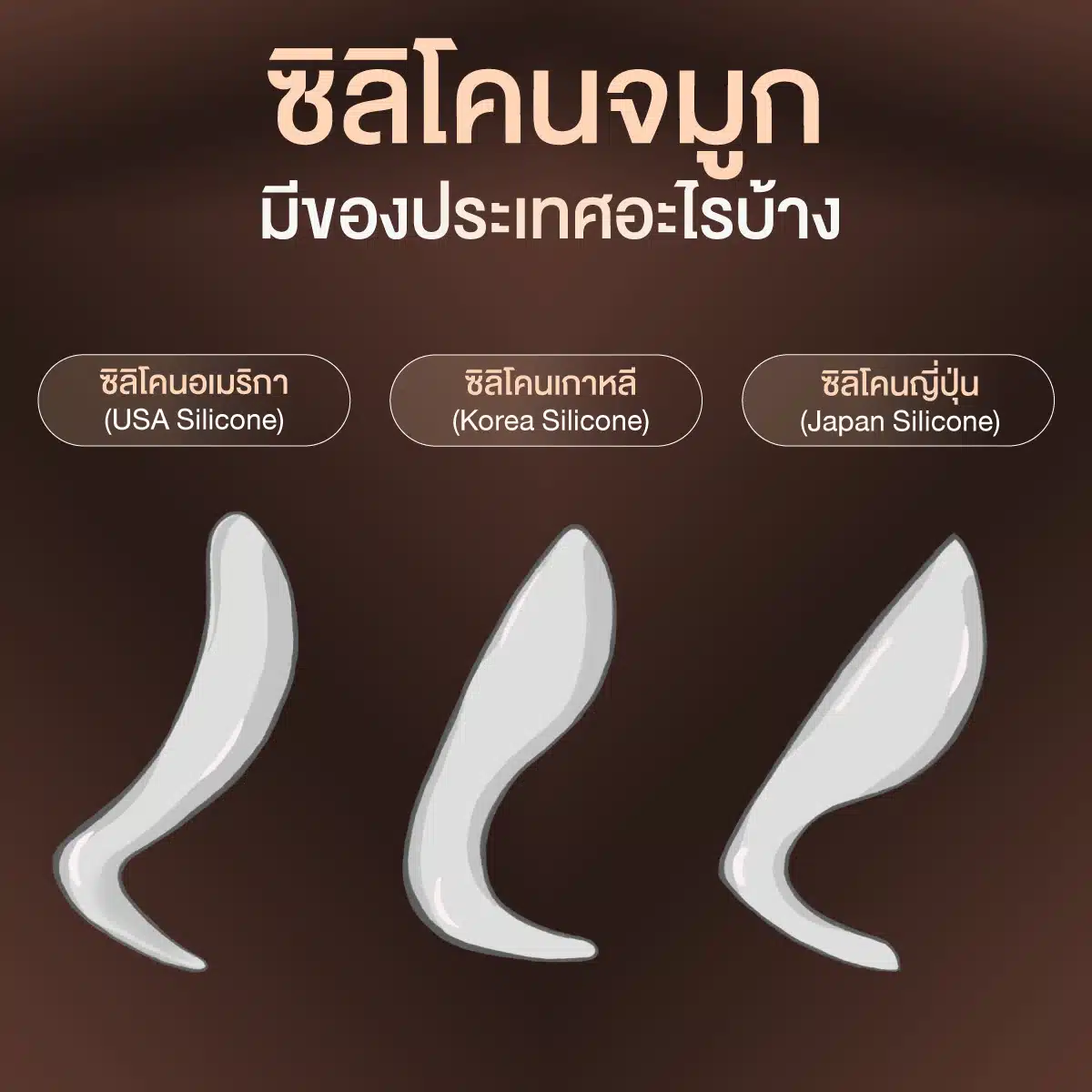 ซิลิโคนจมูกมีของประเทศอะไรบ้าง